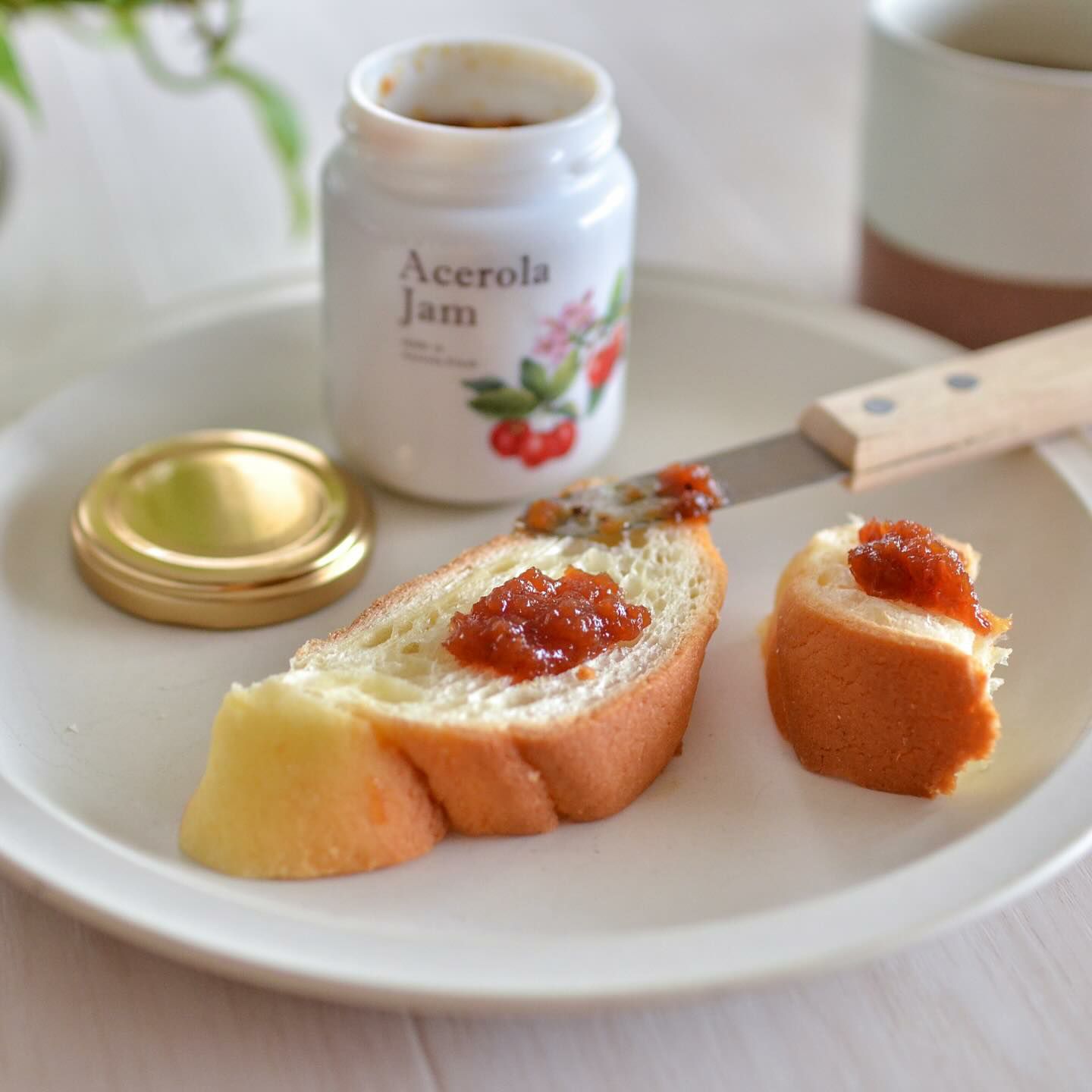 【アセローラフレッシュ】アセローラジャム